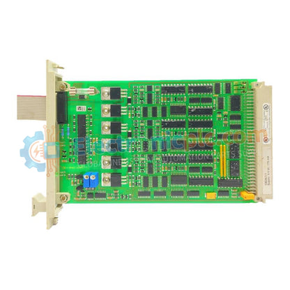 10005/1/1 Módulo de vigilancia Honeywell