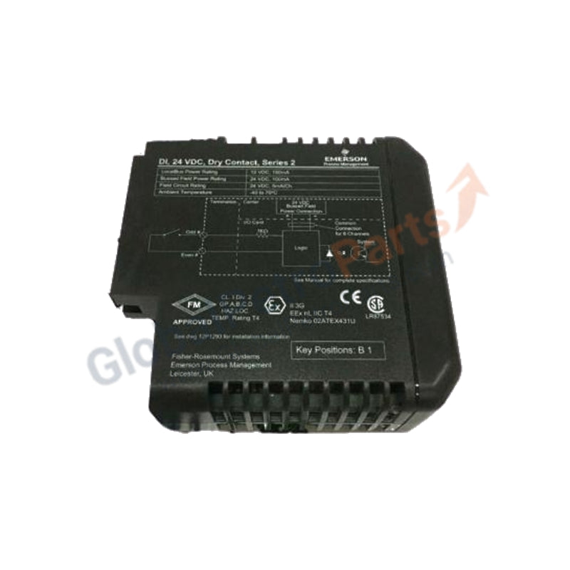Módulo de entrada analógica para termopar Emerson KJ3002X1-BG1