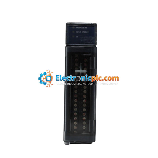 GE FANUC IC695ALG808