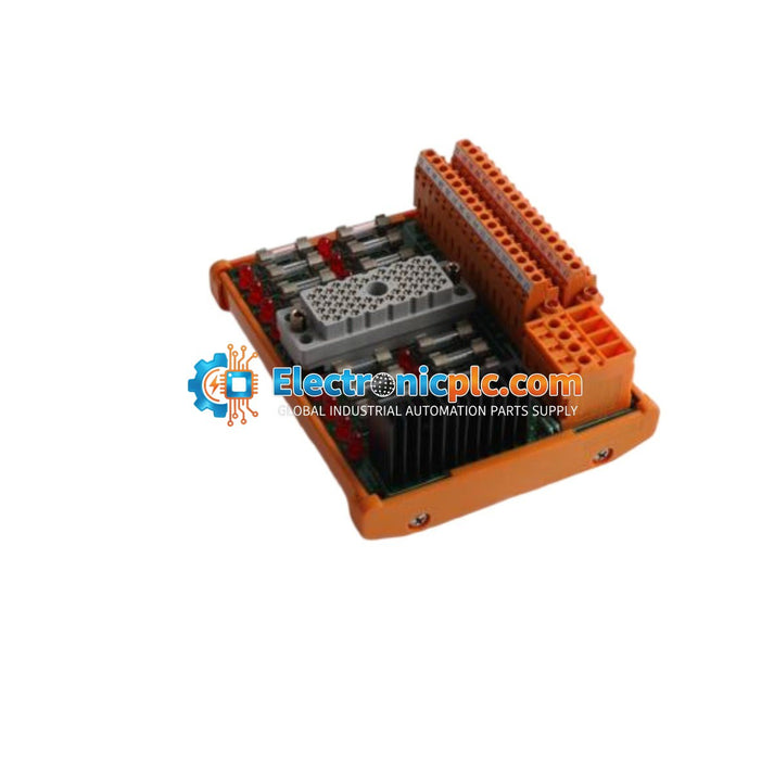 Triconex 9662-810